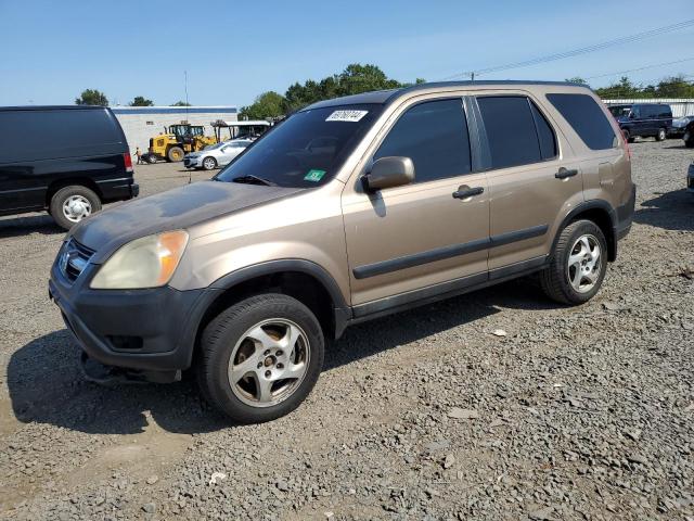 2003 Honda Cr-V Ex na sprzedaż w Hillsborough, NJ - Rear End