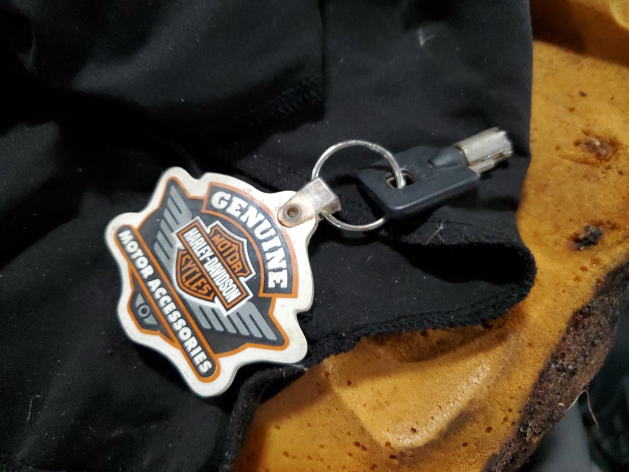 1999 Harley-Davidson Flstf VIN: 1HD1BML16XY045853 Lot: 71155484