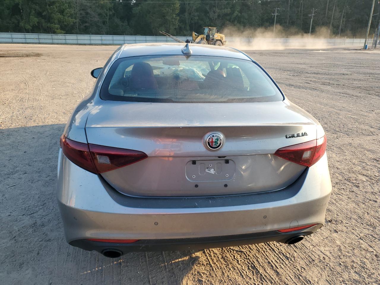 2020 Alfa Romeo Giulia VIN: ZARFAMAN7L7625067 Lot: 71016304