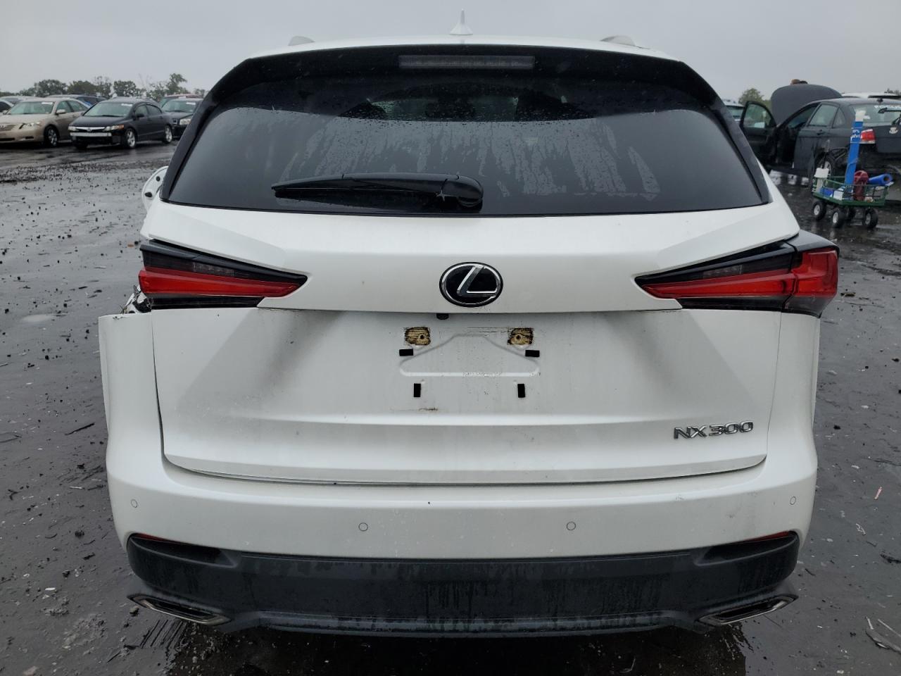 2020 Lexus Nx 300 VIN: JTJDARDZ3L5012708 Lot: 72035844