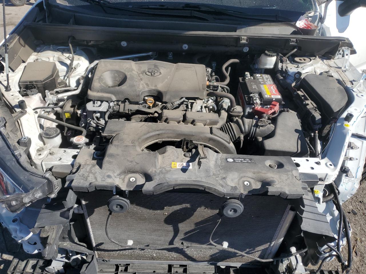 2T3P1RFV9KC059339 2019 Toyota Rav4 Xle