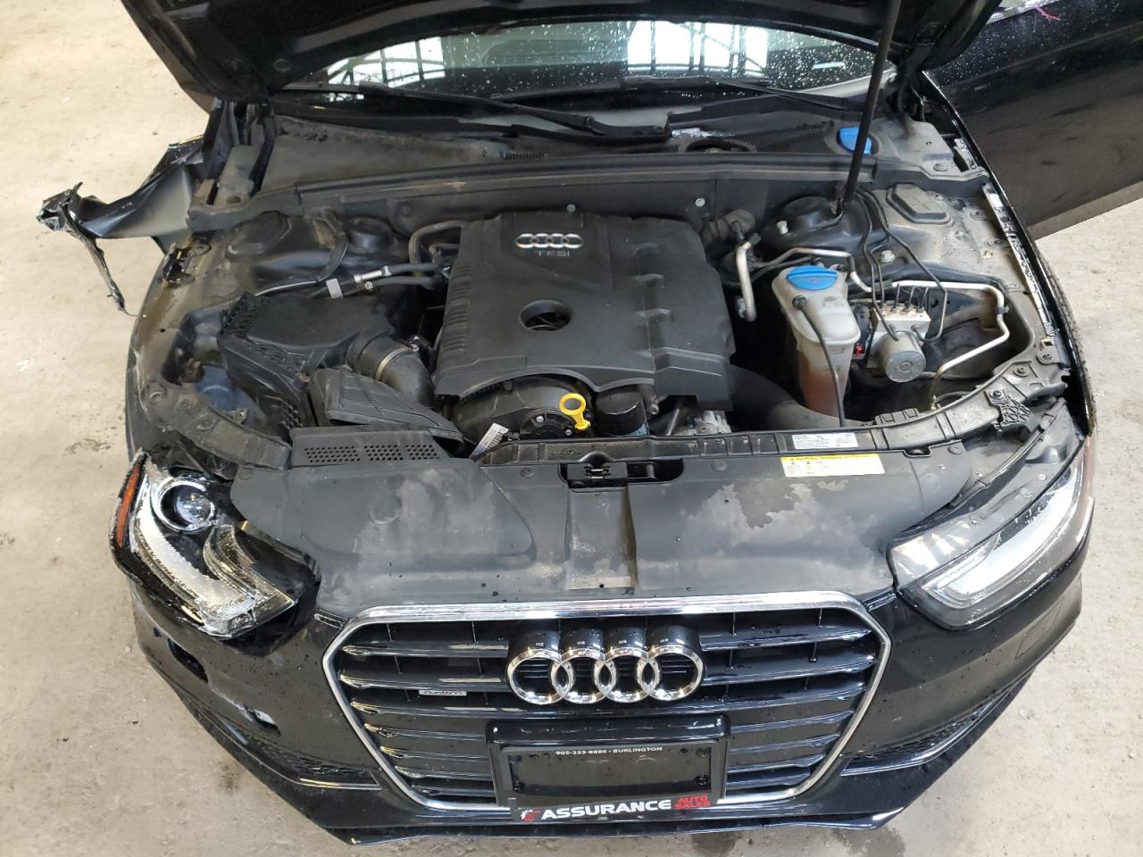 WAUFFCFL0GN003826 2016 Audi A4 Progressiv Plus