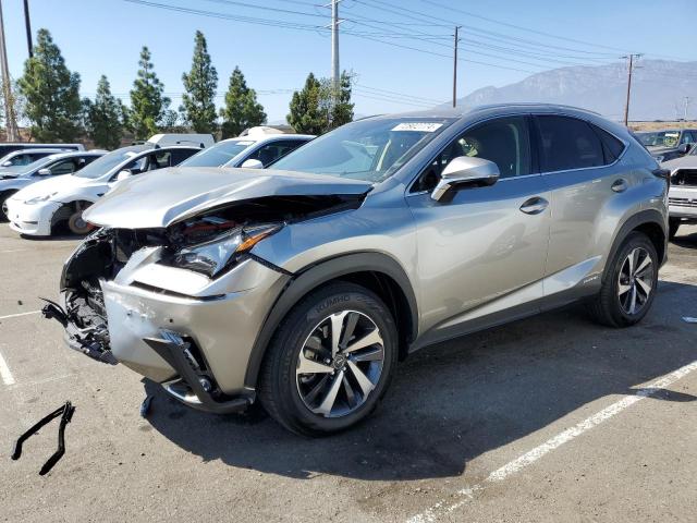 2021 Lexus Nx 300H Base