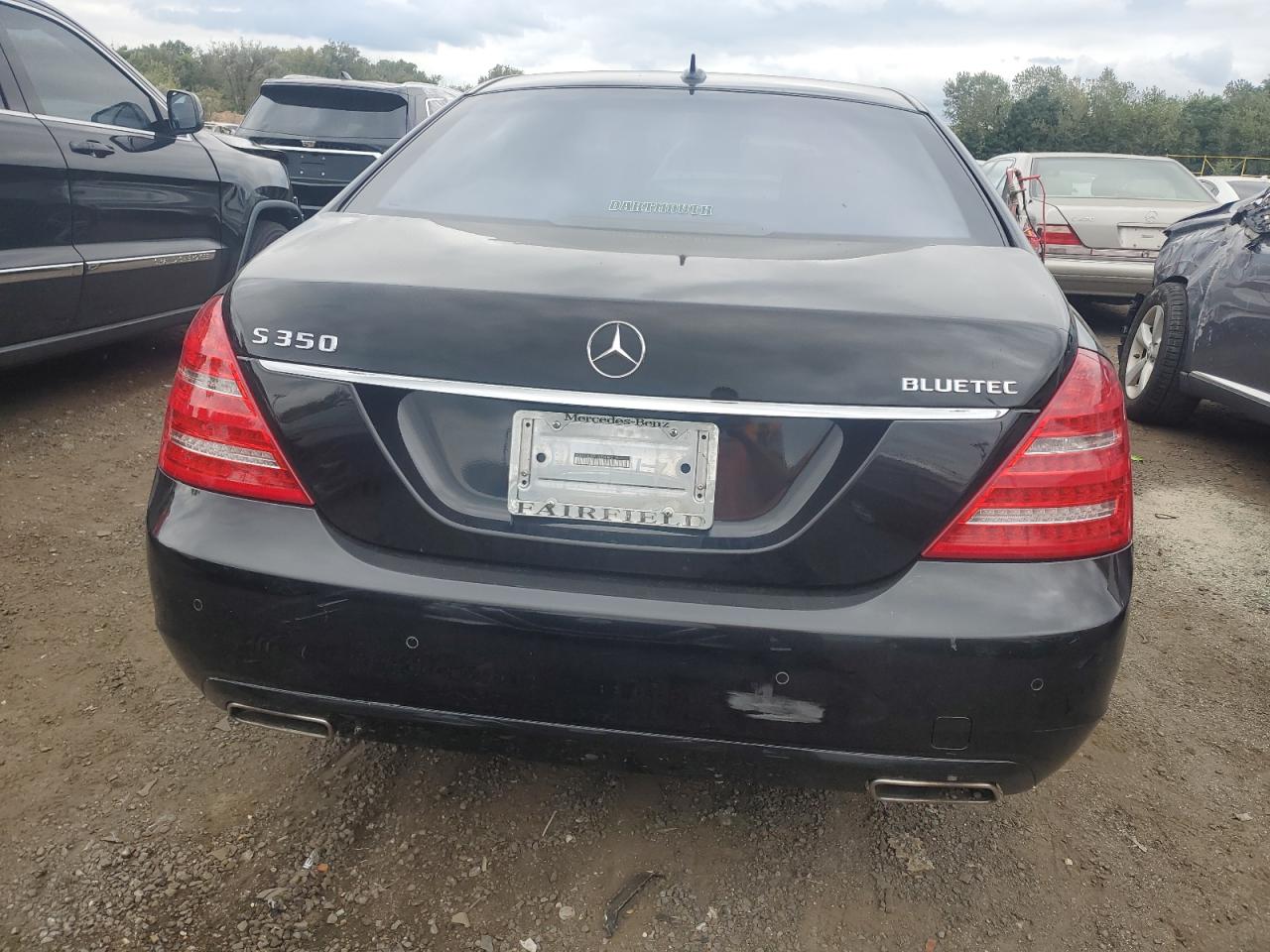 WDDNG8DB7DA534582 2013 Mercedes-Benz S 350 Bluetec