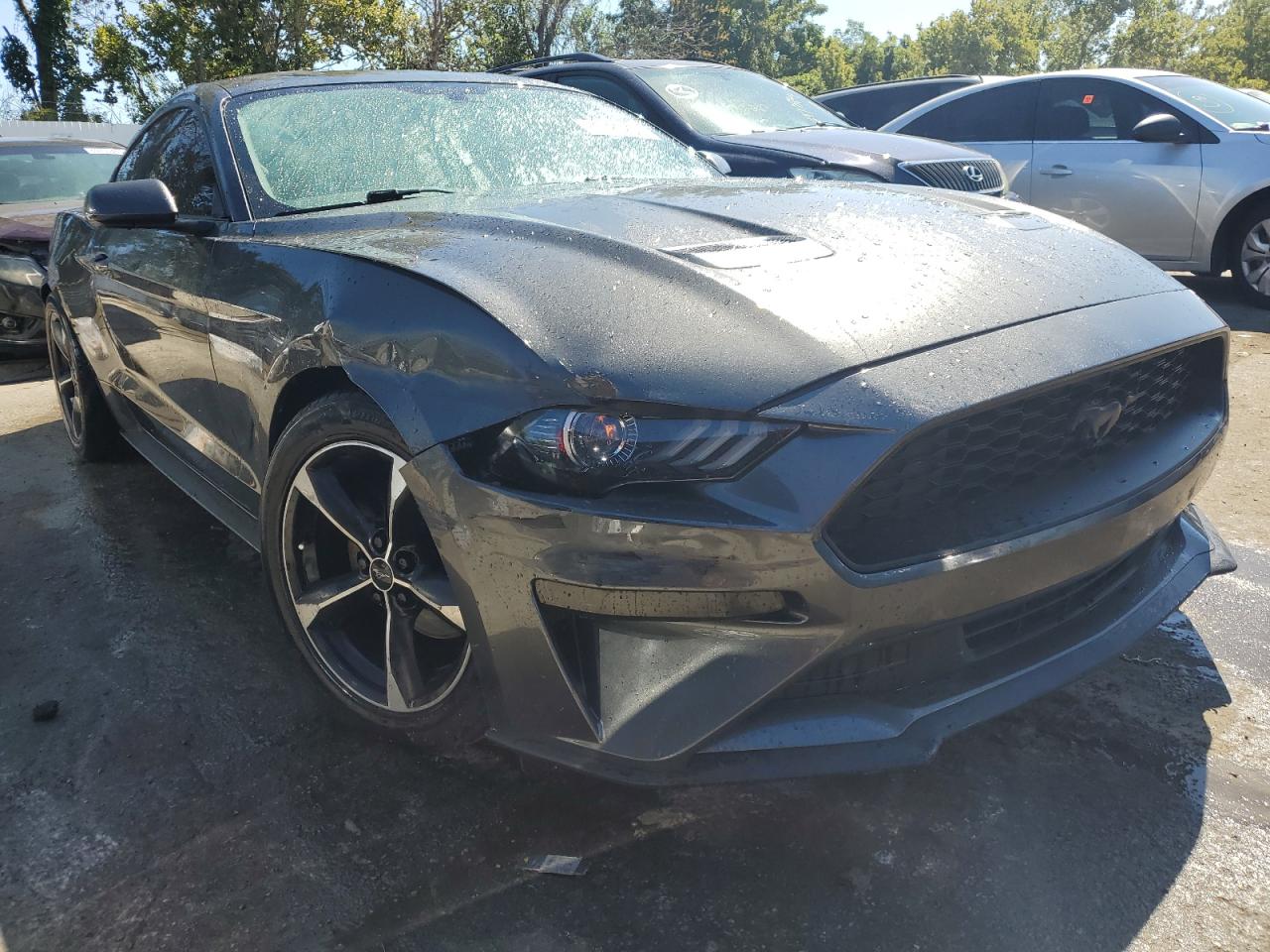 1FA6P8THXK5104920 2019 Ford Mustang