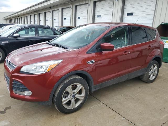  FORD ESCAPE 2016 Czerwony