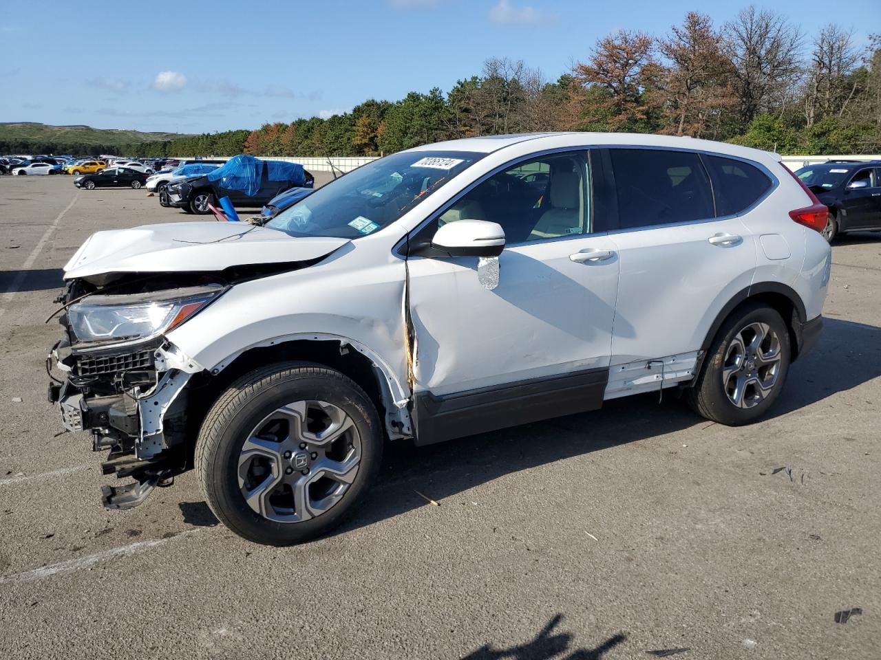 2019 Honda Cr-V Ex VIN: 2HKRW2H55KH613965 Lot: 70365124