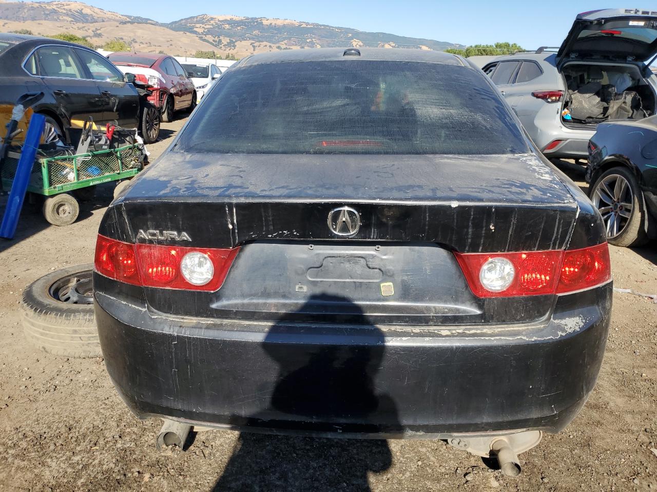 2005 Acura Tsx VIN: JH4CL96985C027725 Lot: 71131804