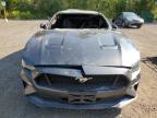 2019 FORD MUSTANG GT   à vendre chez Copart ON - COOKSTOWN