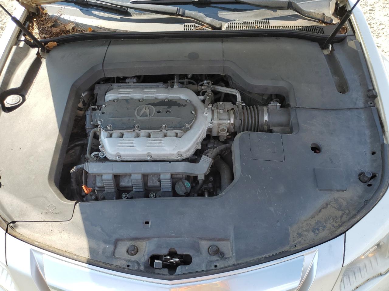 19UUA8F25AA003866 2010 Acura Tl