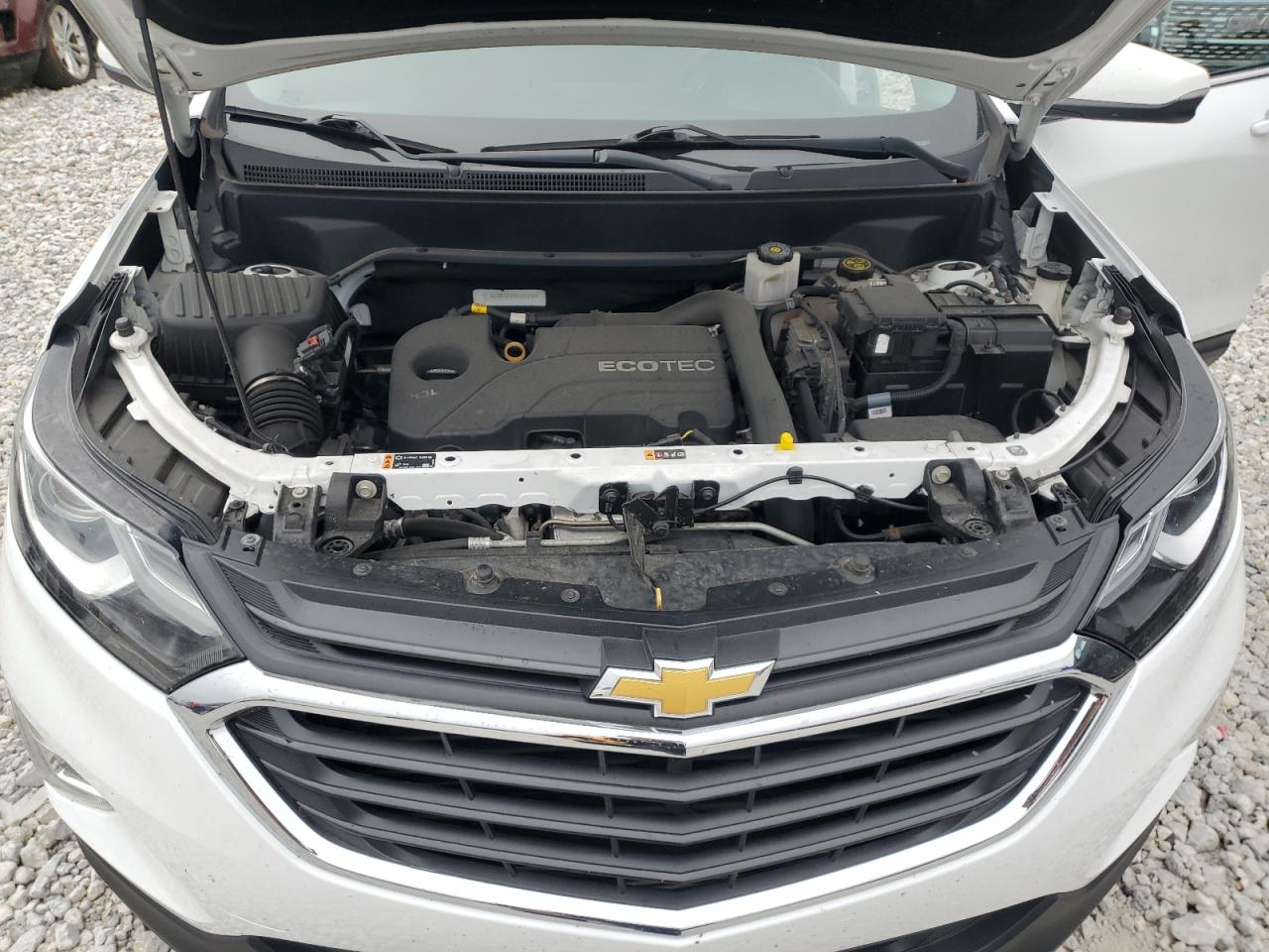 2GNAXUEV9K6241696 2019 Chevrolet Equinox Lt