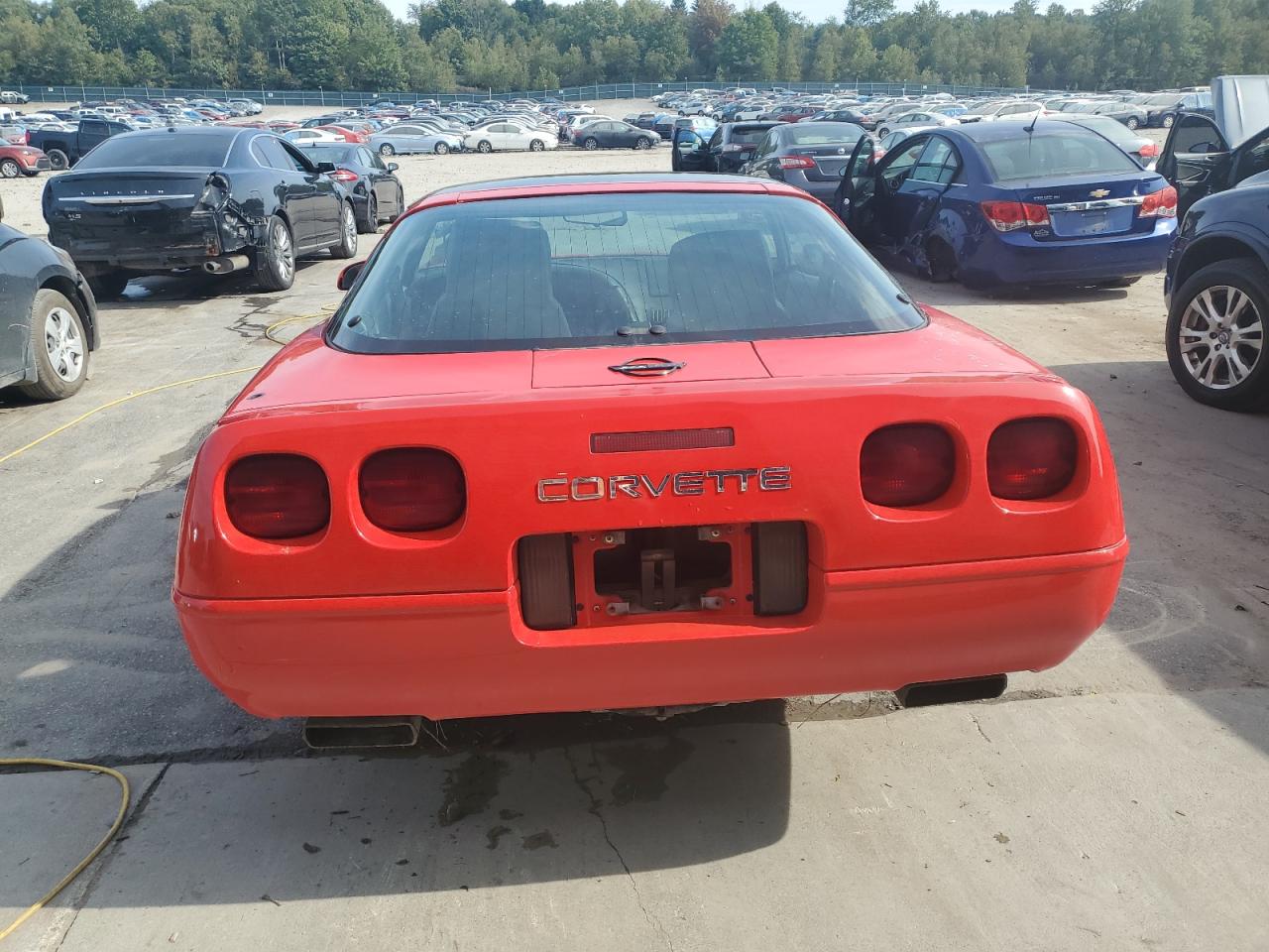 1993 Chevrolet Corvette VIN: 1G1YY23P6P5120276 Lot: 67511154