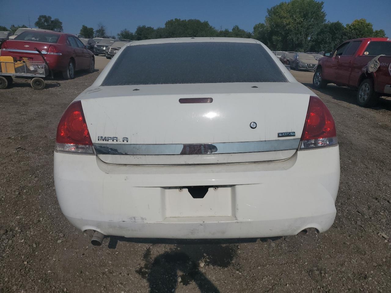 2010 Chevrolet Impala Police VIN: 2G1WD5EM1A1251048 Lot: 70796924