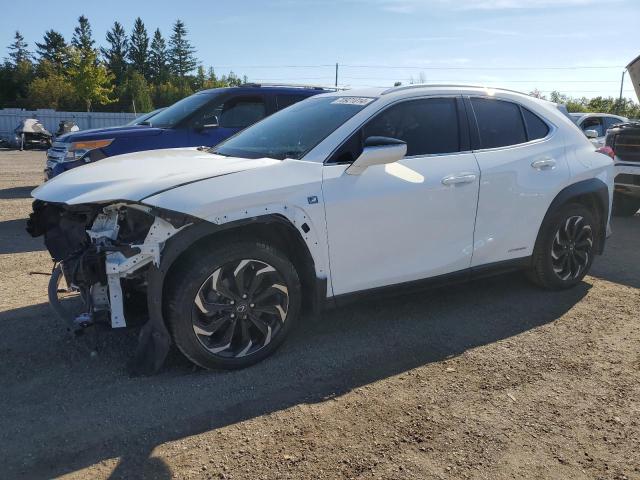 2020 Lexus Ux 250H