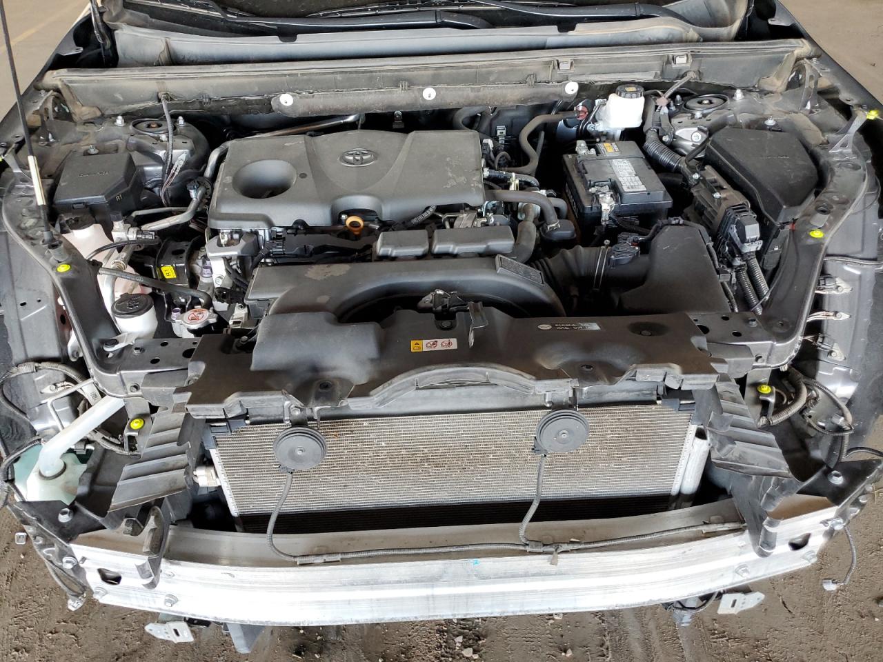 2T3W1RFV6KC013205 2019 Toyota Rav4 Xle