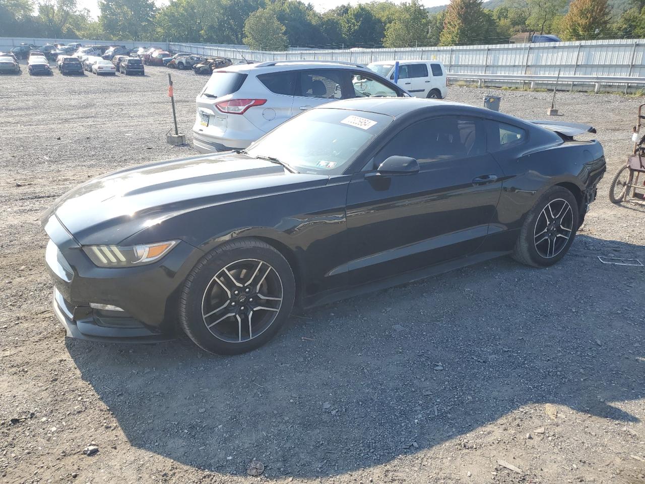 1FA6P8TH2GS228138 2016 FORD MUSTANG - Image 1