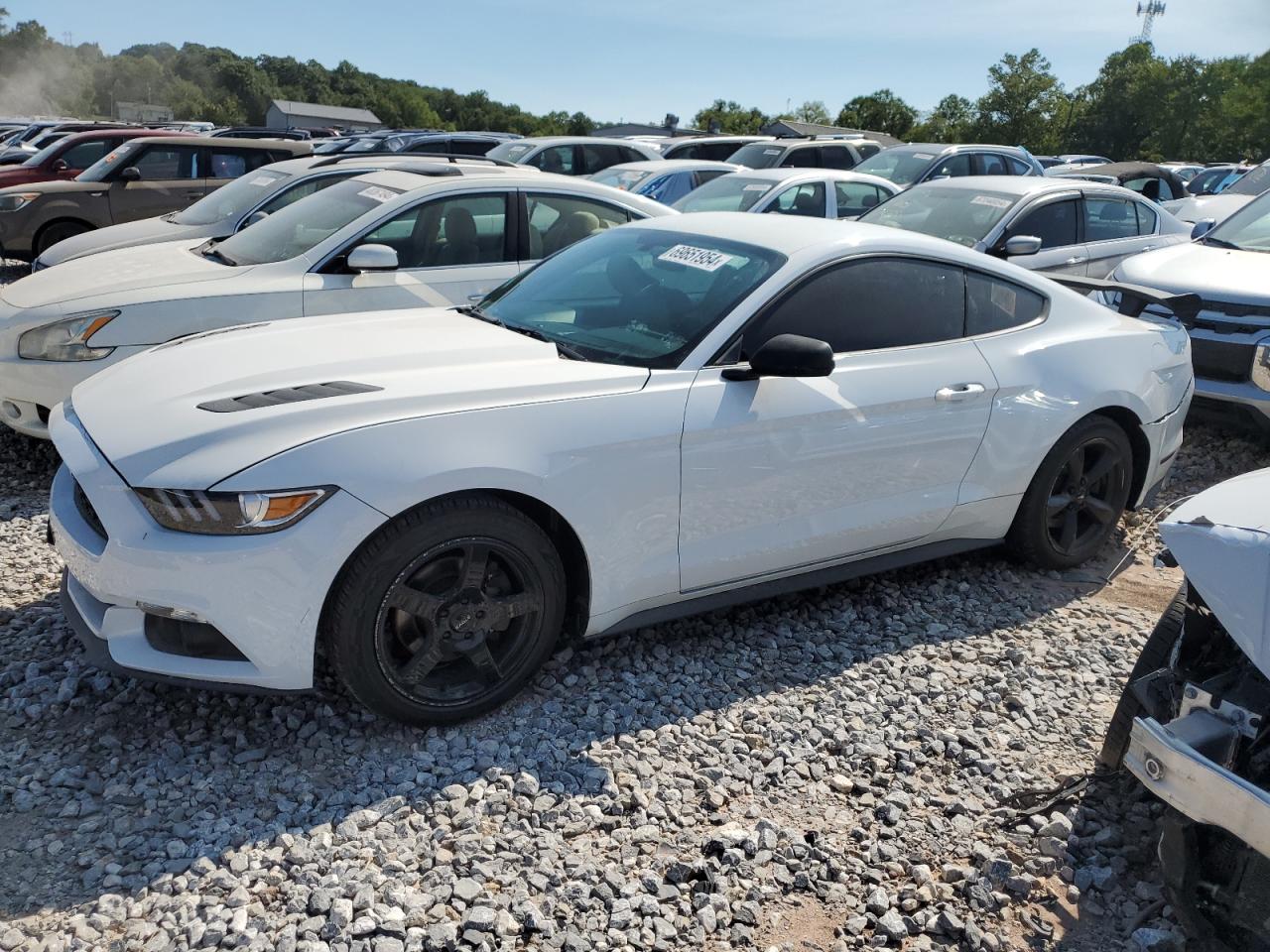 1FA6P8TH3G5289545 2016 FORD MUSTANG - Image 1