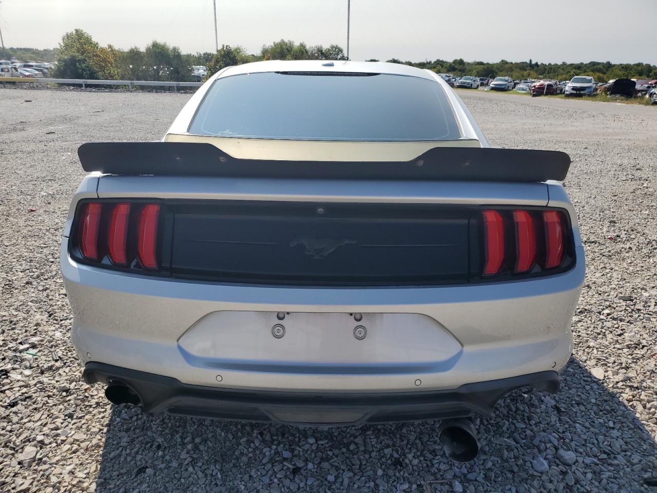 2019 Ford Mustang VIN: 1FA6P8TH8K5139438 Lot: 70529944