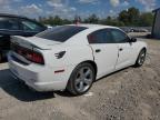 2013 Dodge Charger Sxt продається в Louisville, KY - Undercarriage