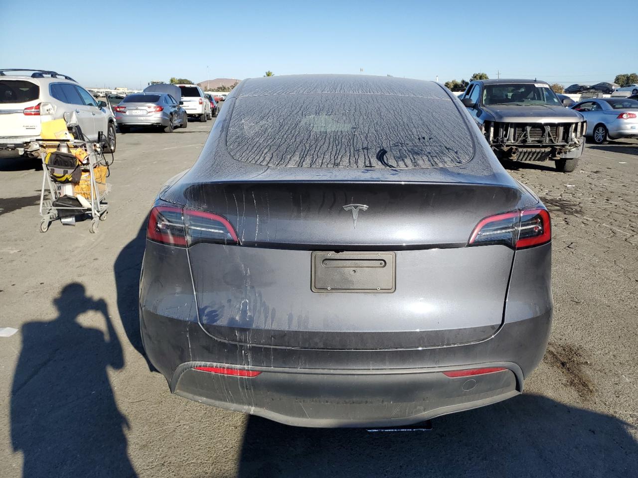 2023 Tesla Model Y VIN: 7SAYGDEDXPF933727 Lot: 73205244