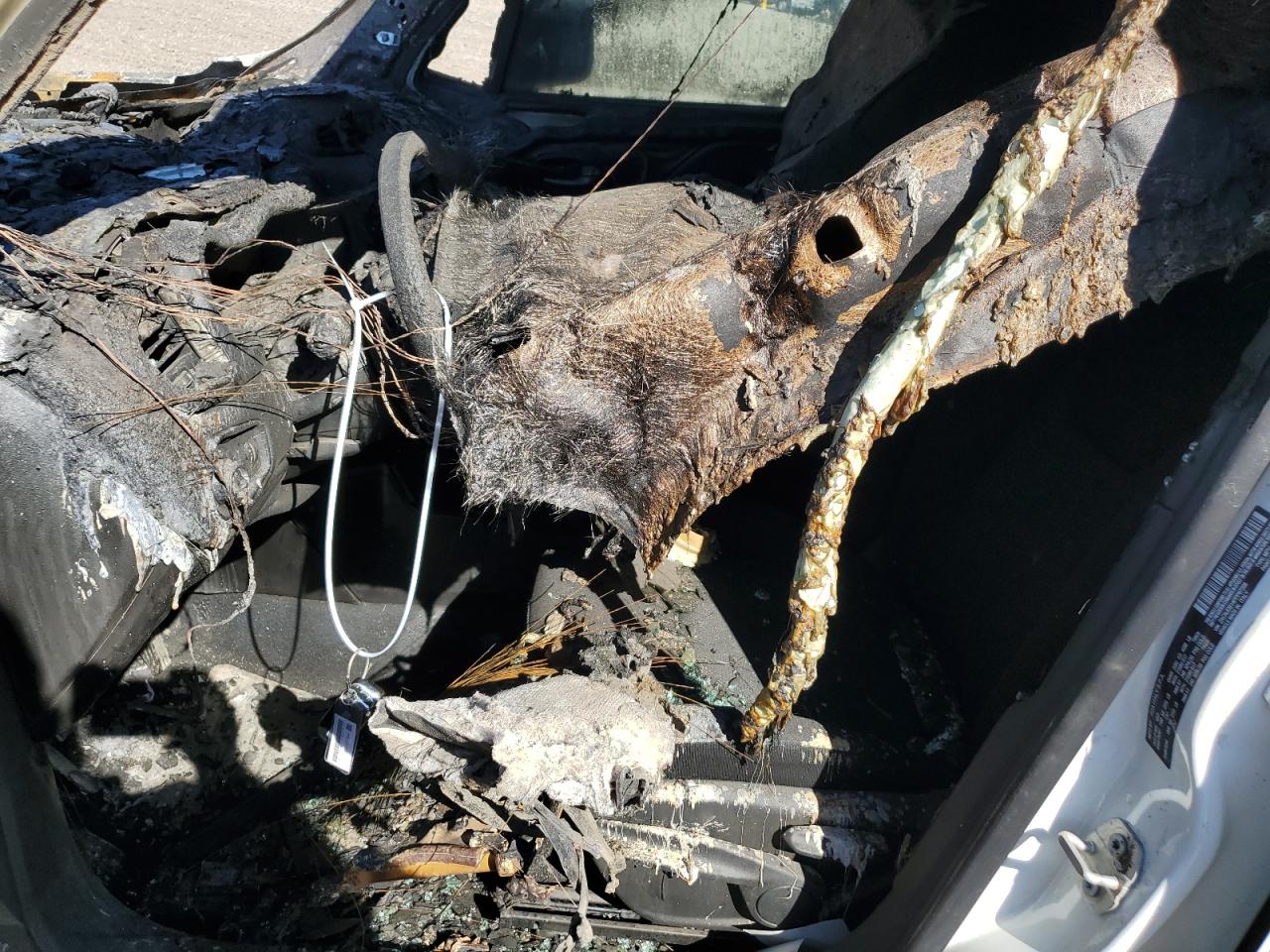 2023 Jeep Renegade Latitude VIN: ZACNJDB14PPP67206 Lot: 83431384