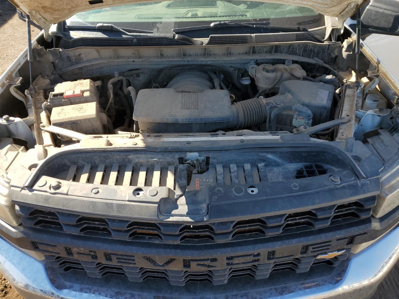 2020 Chevrolet Silverado K1500 VIN: 3GCNYAEH4LG194289 Lot: 73320784