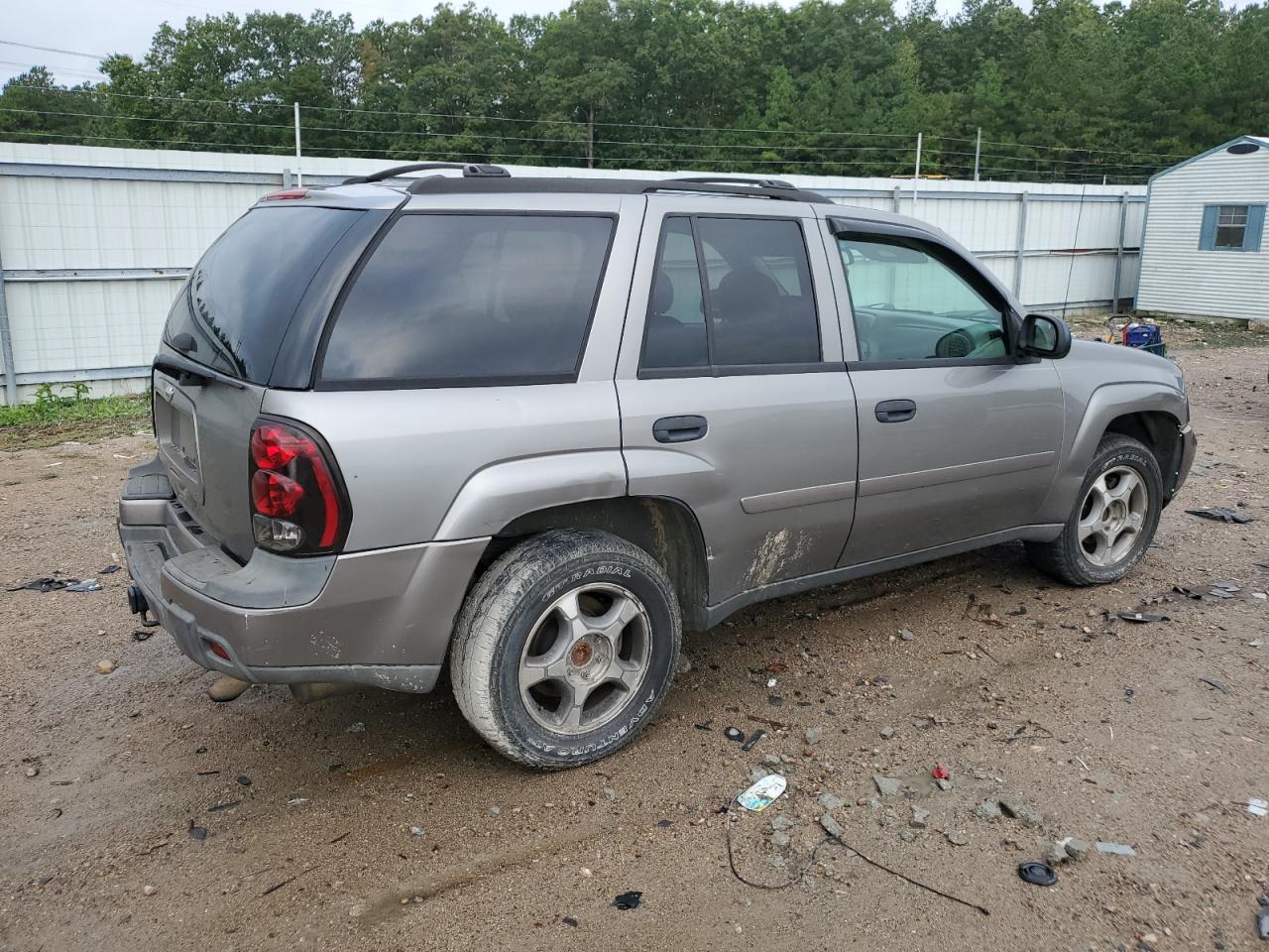 2008 Chevrolet Trailblazer Ls VIN: 1GNDS13S782160124 Lot: 72778504