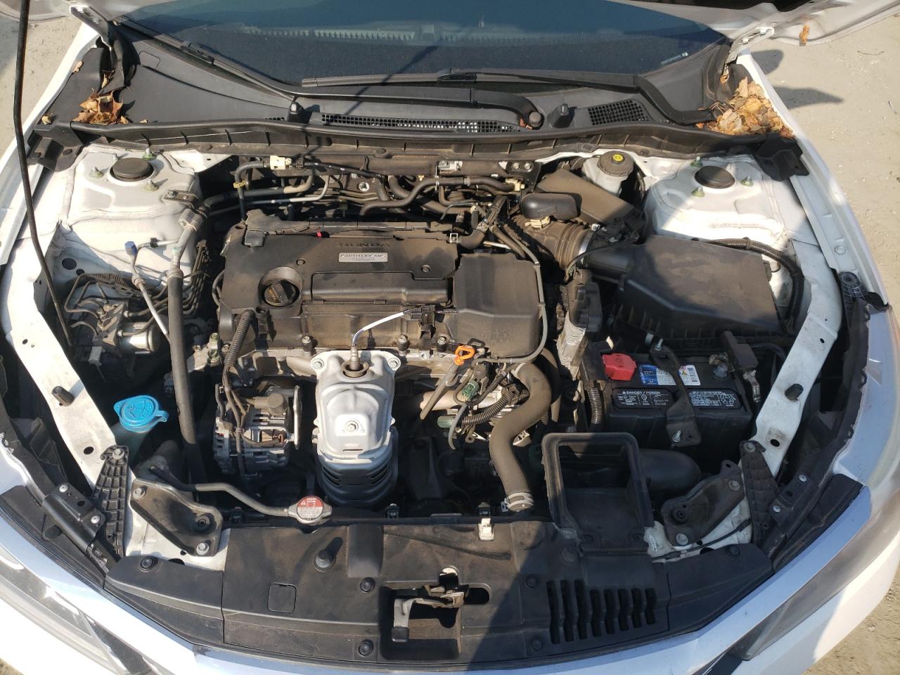 1HGCR2F38HA048594 2017 Honda Accord Lx