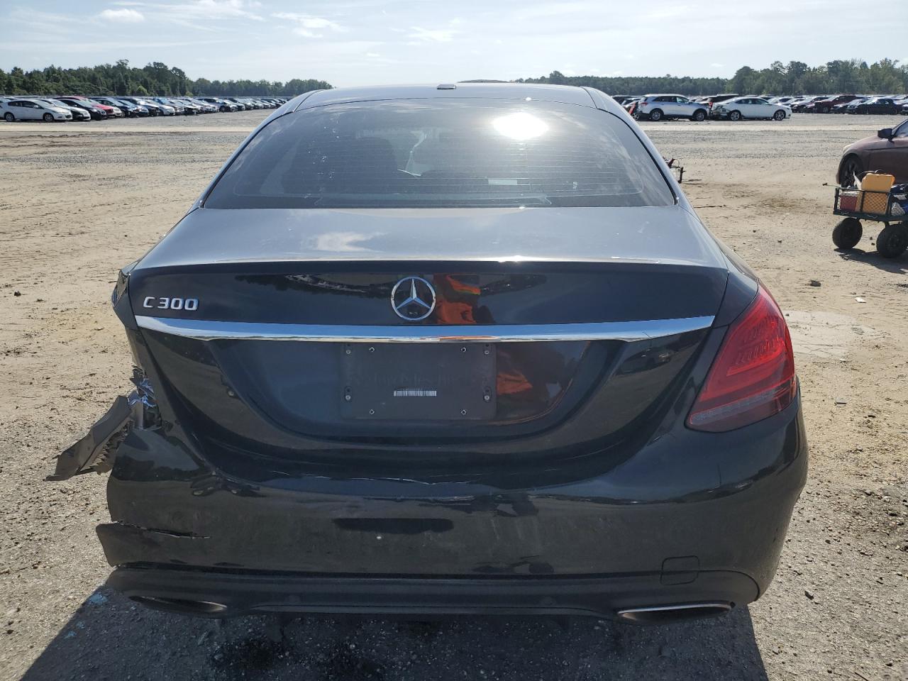 2019 Mercedes-Benz C 300 VIN: 55SWF8DB8KU293801 Lot: 69167914