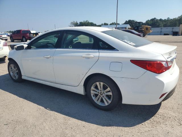  HYUNDAI SONATA 2014 White