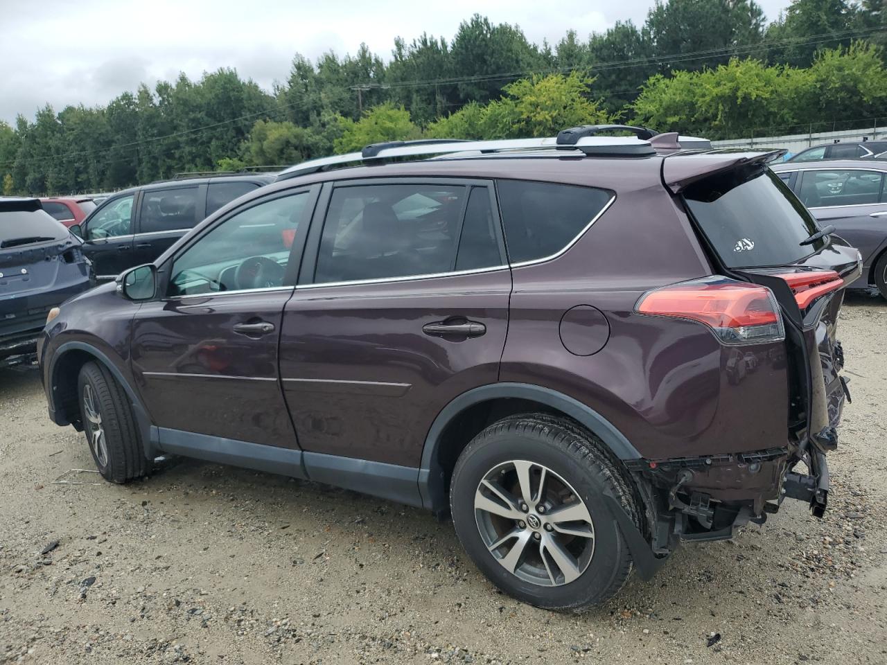 2017 Toyota Rav4 Xle VIN: 2T3RFREV5HW566936 Lot: 71262294