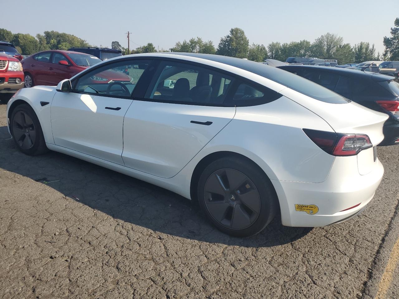 2023 Tesla Model 3 VIN: 5YJ3E1EA3PF400135 Lot: 70461524