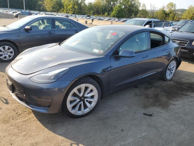  TESLA MODEL 3 2021 Сірий