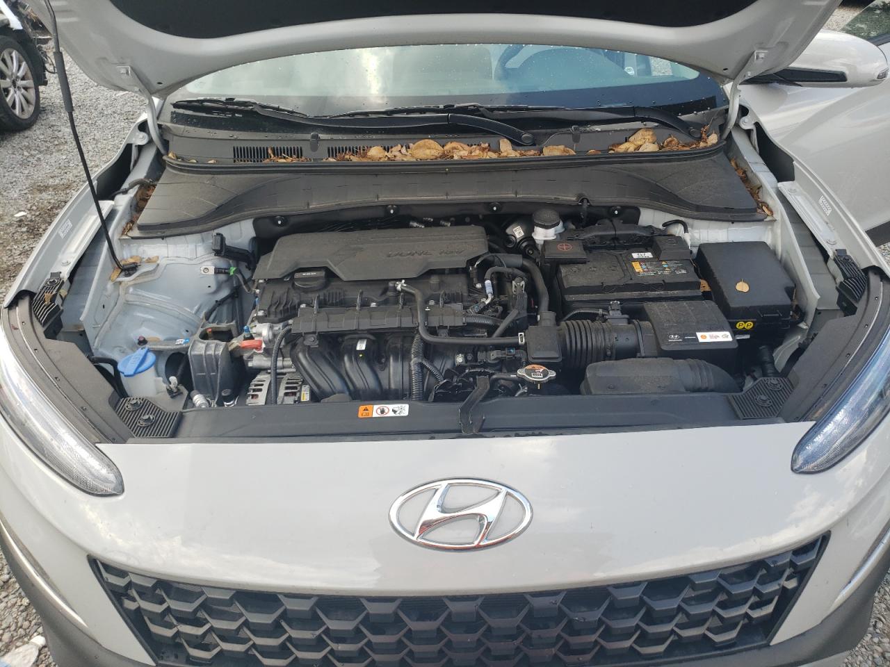 KM8K6CAB1PU054561 2023 Hyundai Kona Sel