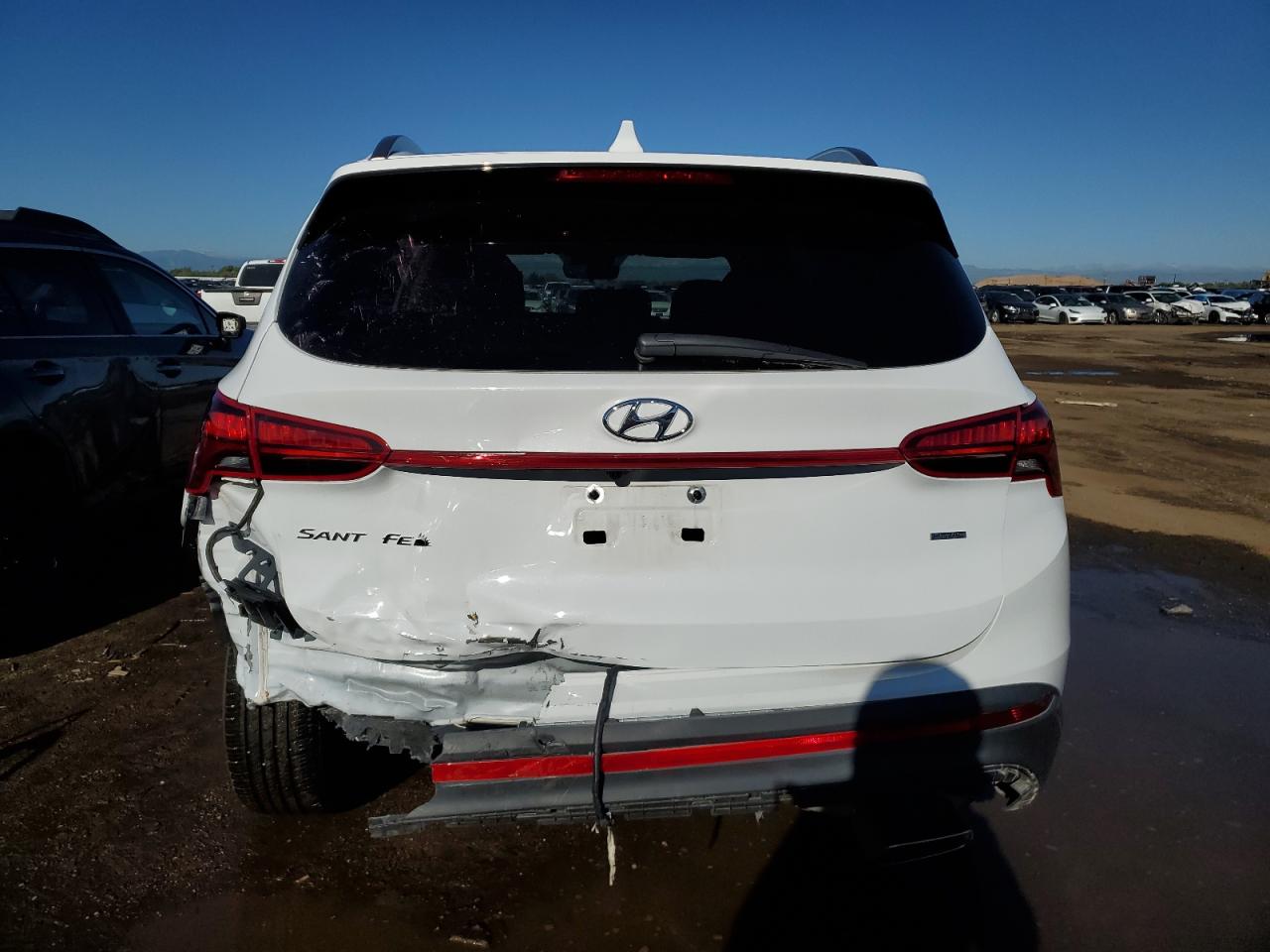 2023 Hyundai Santa Fe Sel VIN: 5NMS2DAJ7PH612336 Lot: 72794404