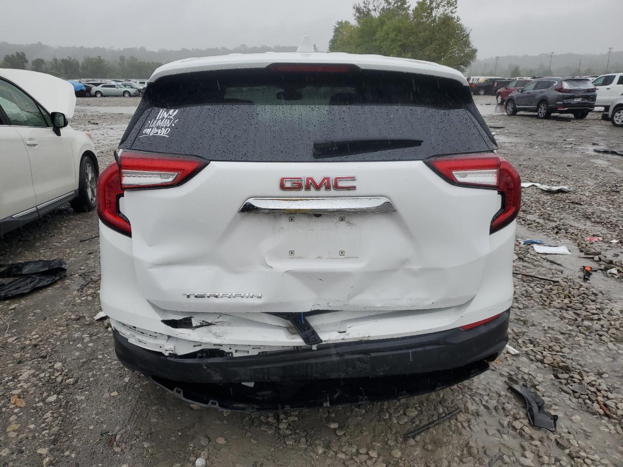 3GKALMEG8RL252981 2024 GMC Terrain Sle