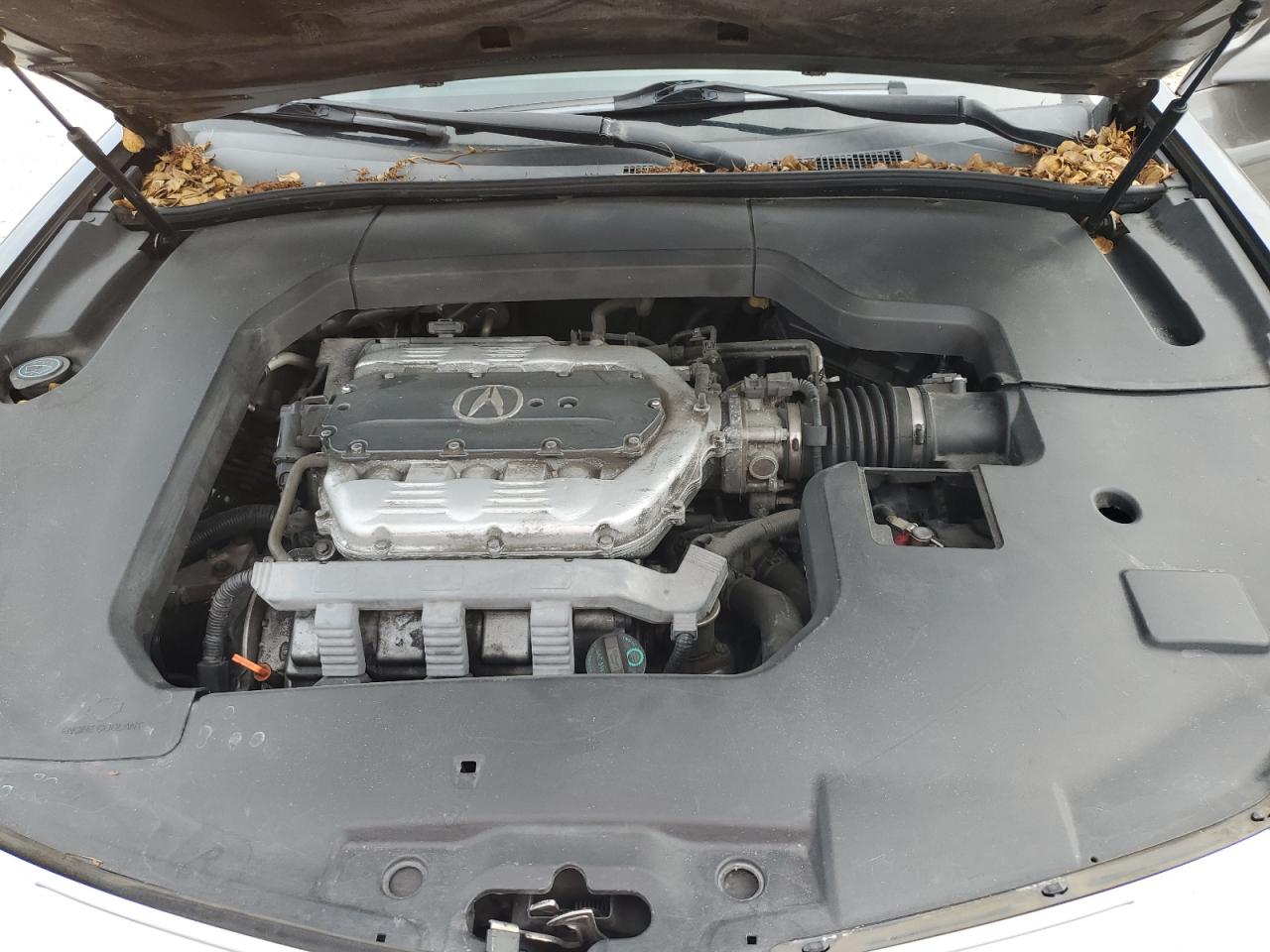 19UUA8F20AA017822 2010 Acura Tl