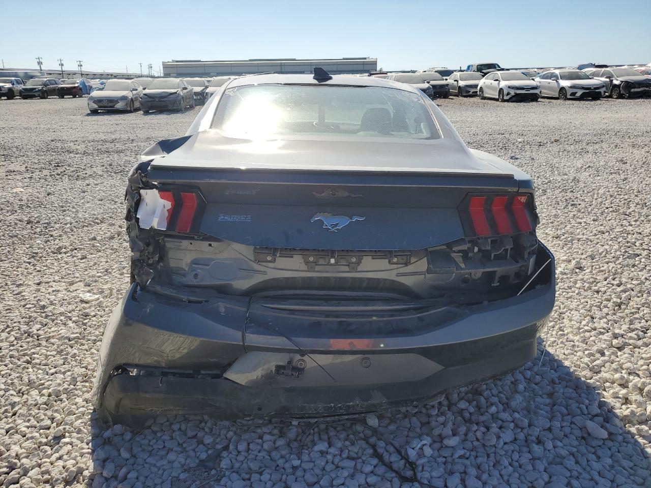 1FA6P8TH6R5105797 2024 Ford Mustang