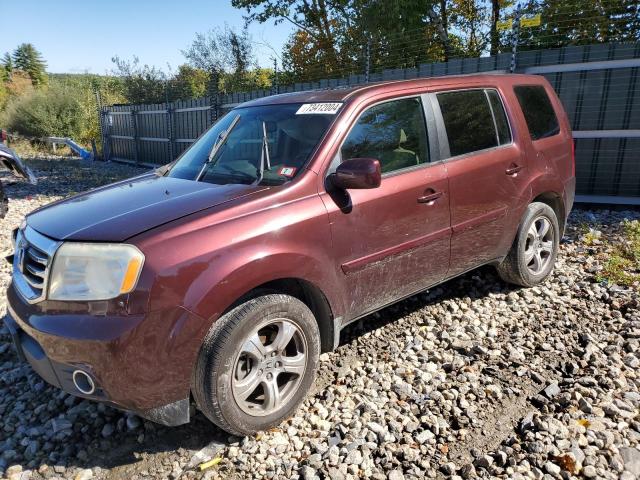  HONDA PILOT 2013 Burgundy