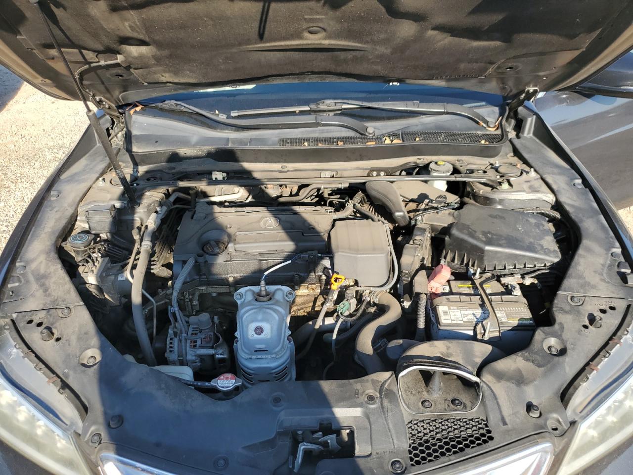 19UUB1F5XGA007032 2016 Acura Tlx Tech