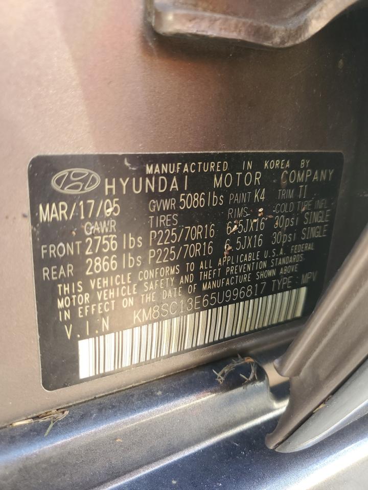 2005 Hyundai Santa Fe Gls VIN: KM8SC13E65U996817 Lot: 73829854