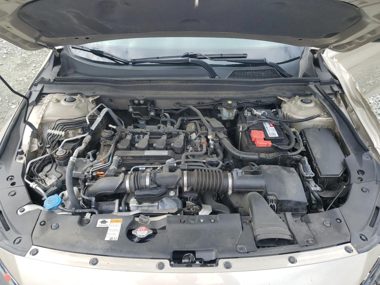 1HGCV1F17KA123135 2019 Honda Accord Lx