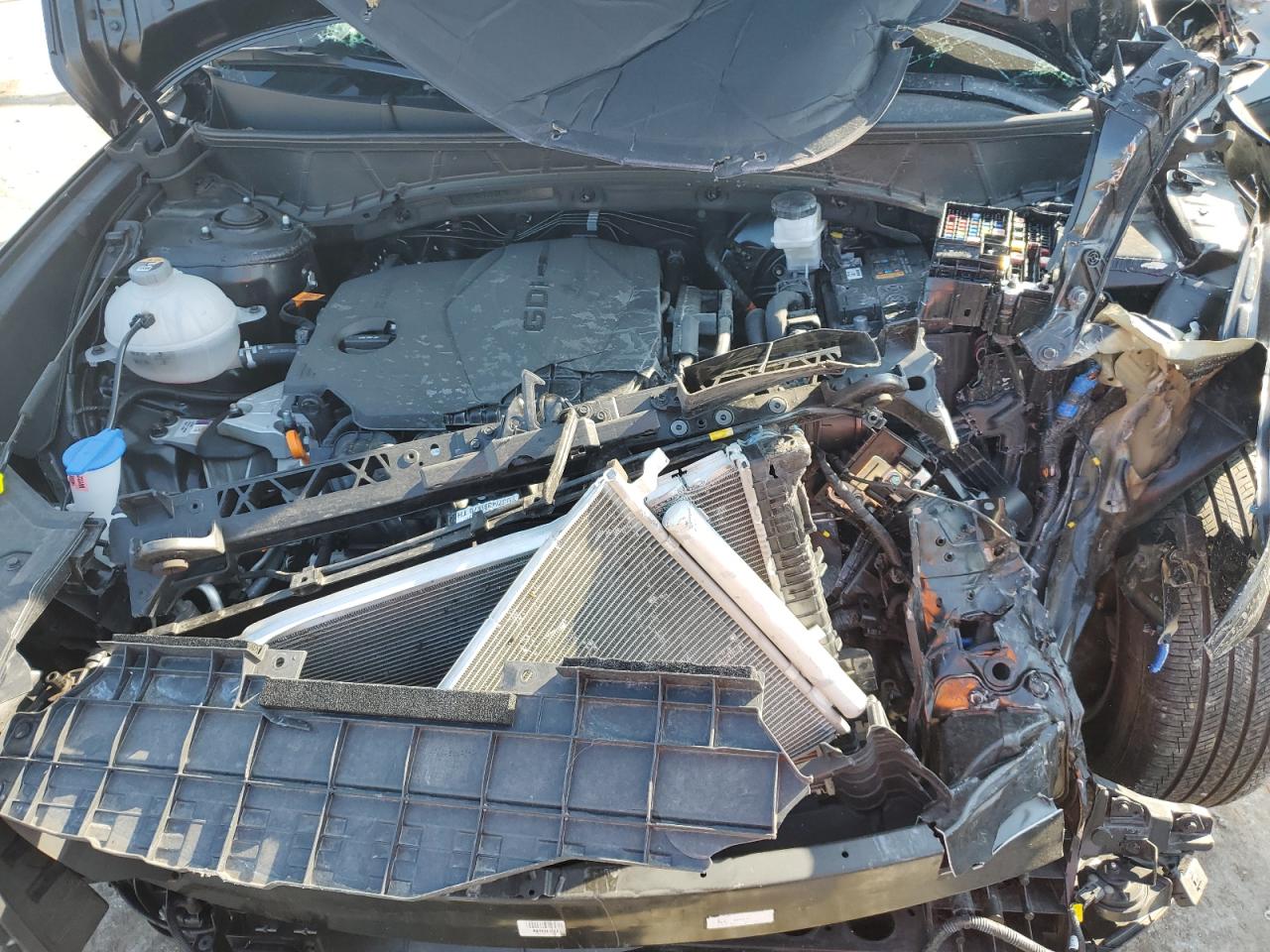 2024 Hyundai Tucson Sel VIN: KM8JB3DE1RU297853 Lot: 86073805