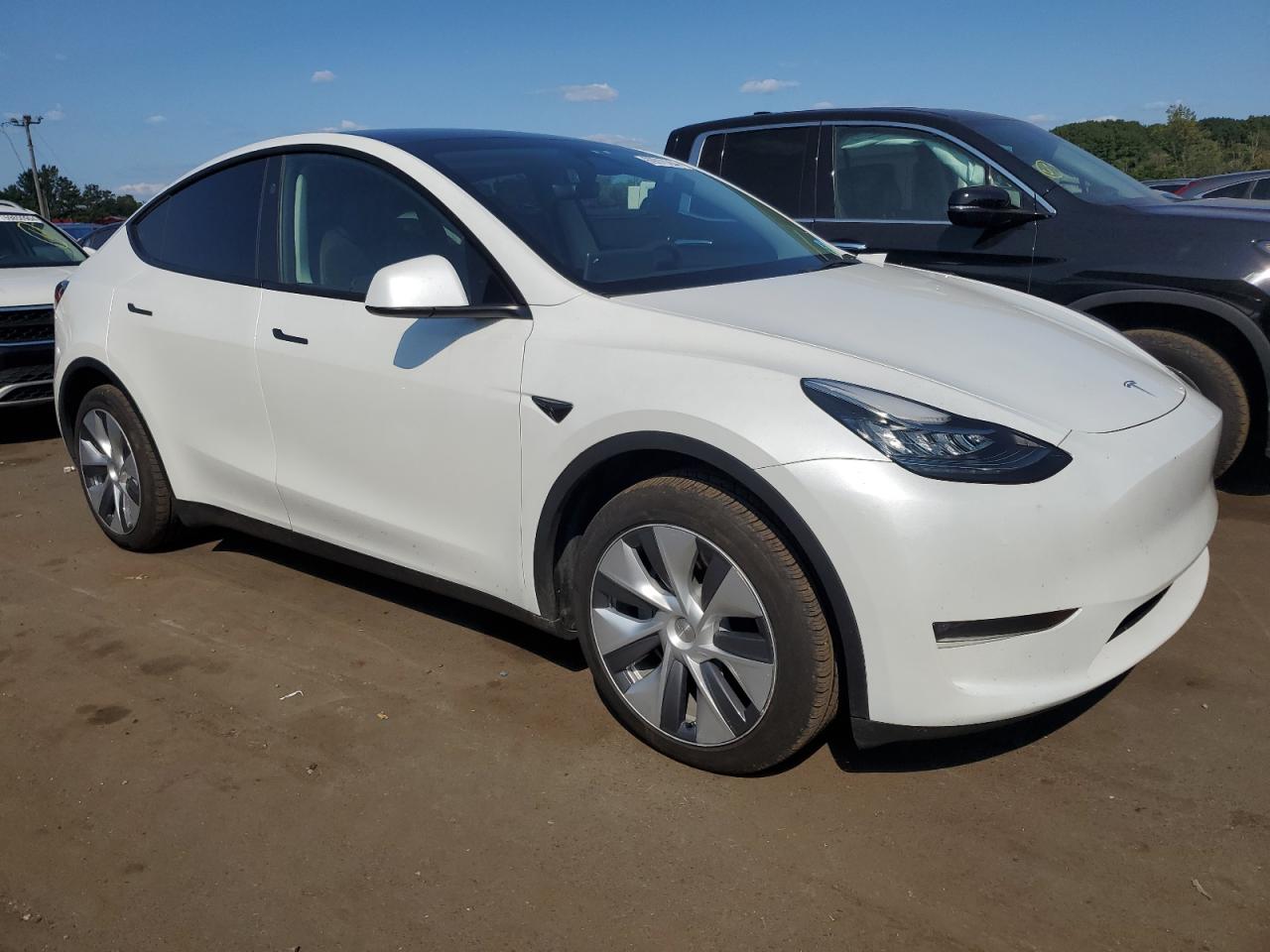 2023 Tesla Model Y VIN: 7SAYGDEE4PA136170 Lot: 69670264