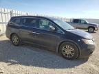 2013 HONDA ODYSSEY EXL à vendre chez Copart AB - EDMONTON