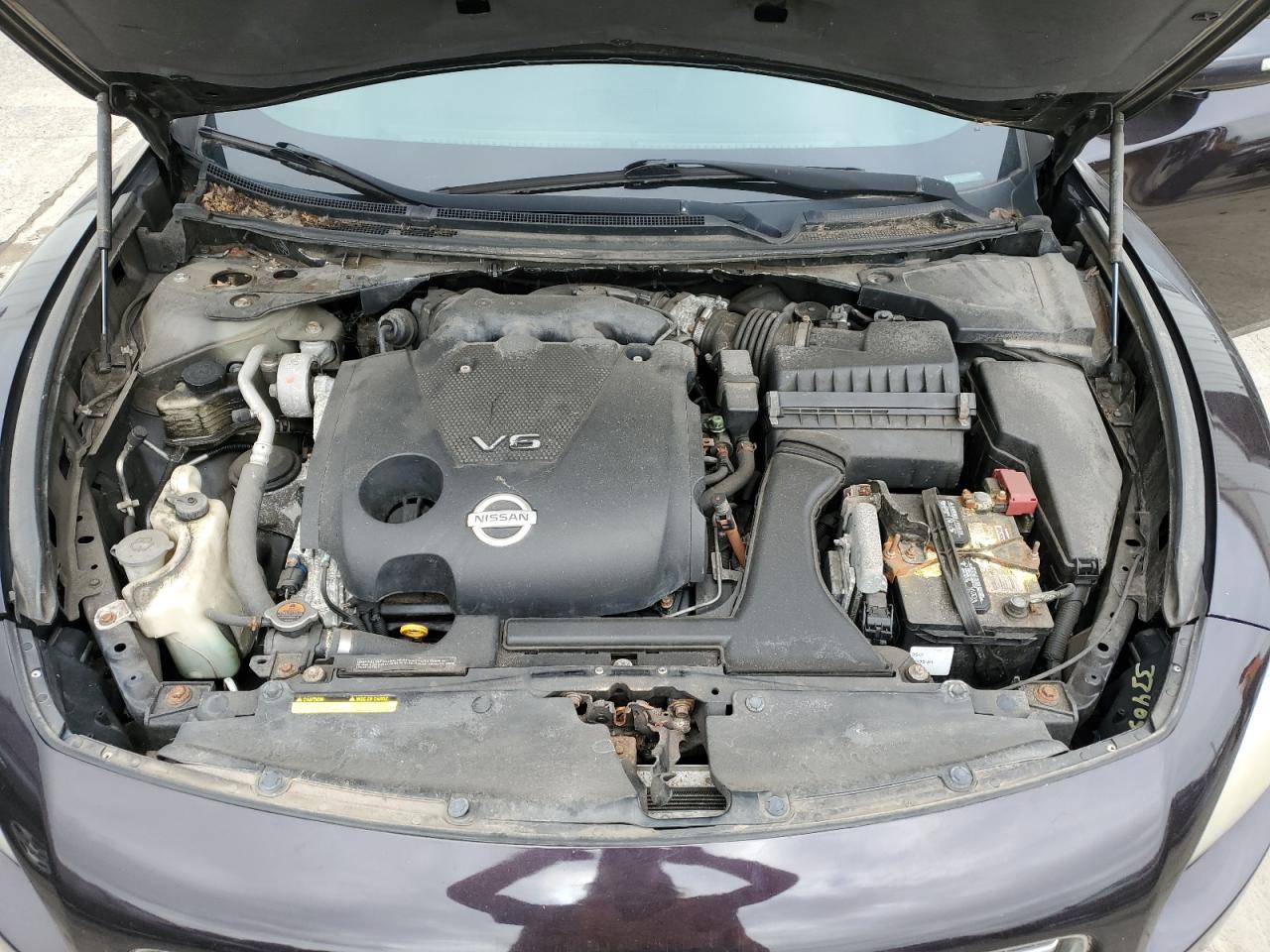 1N4AA5AP1AC823066 2010 Nissan Maxima S