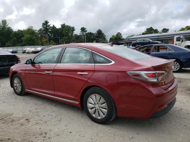  HYUNDAI SONATA 2016 Czerwony