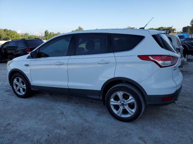  FORD ESCAPE 2014 White