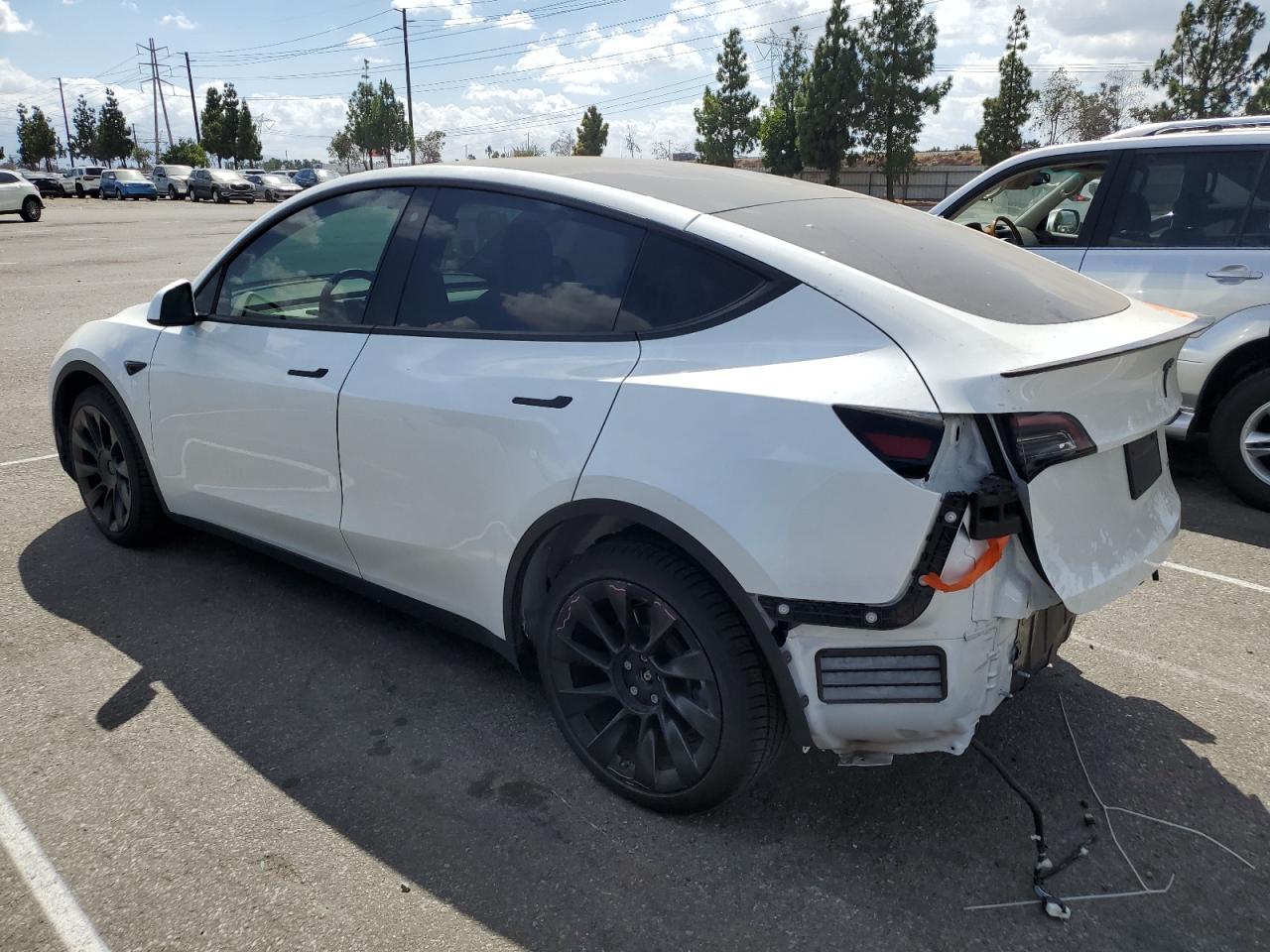 5YJYGDEE6LF059019 2020 TESLA MODEL Y - Image 2