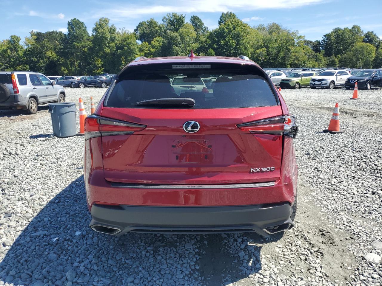 2019 Lexus Nx 300 Base VIN: JTJYARBZ9K2136678 Lot: 69938684